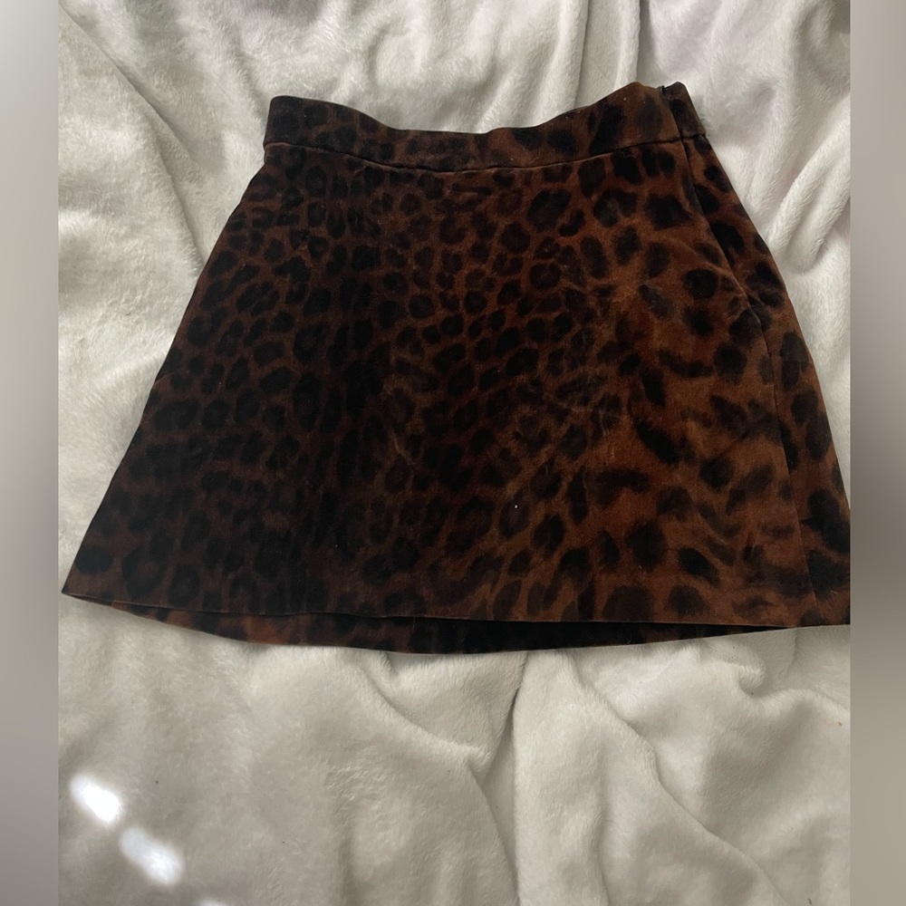 Zara Leopard Print Skirt